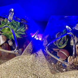 Pair of small glass terrariums with succulents and stones on sand under blue light.