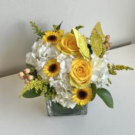 Compact yellow and white arrangement with roses, hydrangea, and daisies in a glass cube with a decorative butterfly
