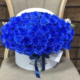 Large bouquet of vivid blue roses in a white hat box with ribbon