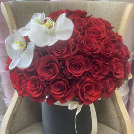 Red roses in a black hat box with white orchids and ribbon