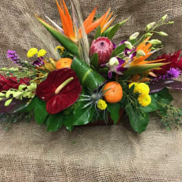 Tropical floral arrangement with orange bird-of-paradise and red anthurium