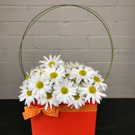 White daisies in a red basket with an orange polka-dot bow