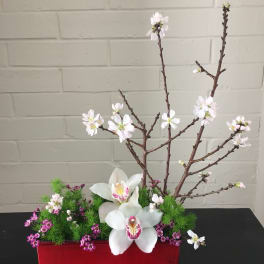 White orchids and pink blossoms in a red rectangular container