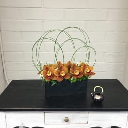 Orange orchids in a black rectangular container with green wire loops
