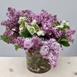 Lavender lilac arrangement with a few white blooms in a clear glass vase with stones