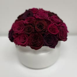 Compact bouquet of deep burgundy roses in a white vase
