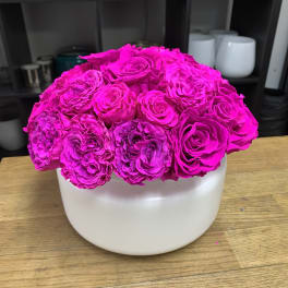 Hot pink roses arranged in a white round vase