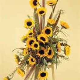 Tall bouquet of sunflowers with airy greenery