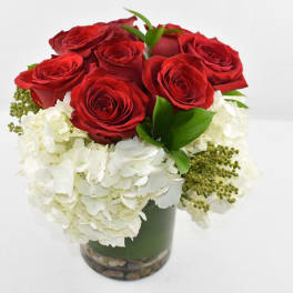 Compact arrangement of red roses and white hydrangeas in a glass cylinder vase