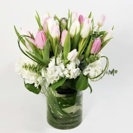 Pink and white tulips arranged in a glass vase with white hydrangeas