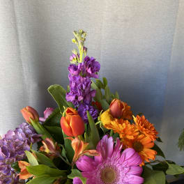 Colorful bouquet with tulips, gerbera daisies, hydrangeas, and purple stock