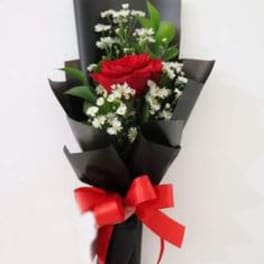 Red rose bouquet with white filler flowers wrapped in black paper and tied with a red bow