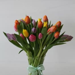 The Dancing Tulips