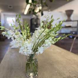 White orchid stems arranged in a clear glass vase