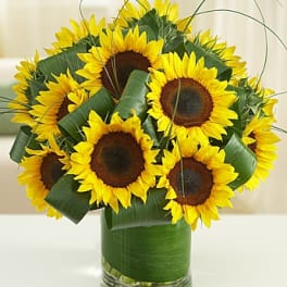 Sun-Sational Sunflowersâ¢