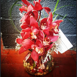 Red orchids arranged in a round glass vase with decorative stones