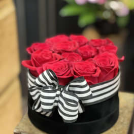 Red roses in a black hat box with a black-and-white striped bow
