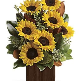 Sunflower arrangement in a wooden box with green foliage