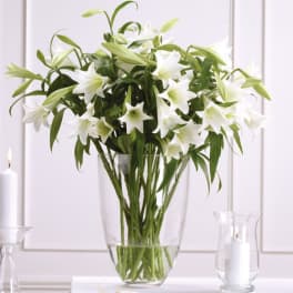 White lilies arranged in a clear glass vase