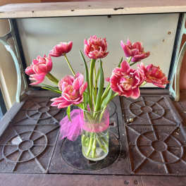 Pink tulips in a clear glass vase with a pink ribbon