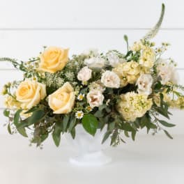 Cream and pale yellow roses arranged in a white pedestal vase