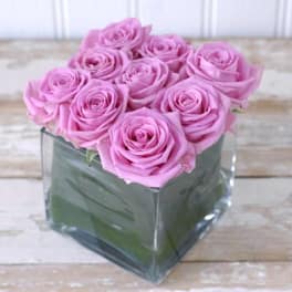 Pink roses arranged in a square glass vase
