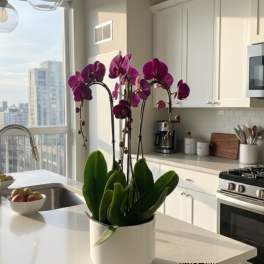 Purple orchids in a white pot on a kitchen island
