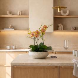 Peach Phalaenopsis Orchid – Upscale Interior Accent