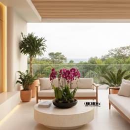 Potted magenta orchids arranged on a low round table in a modern patio