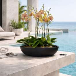 Low black bowl planter with yellow and pink orchids on a stone poolside ledge
