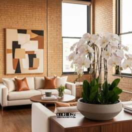 White orchids in a round planter on a wooden table