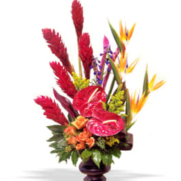 Tropical arrangement with red anthuriums, bird of paradise, and orange roses in a dark vase