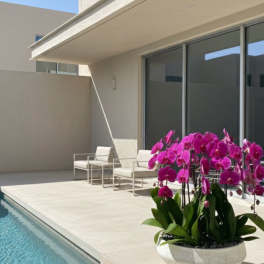 Potted pink orchids in a white bowl planter beside a pool
