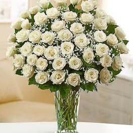 White roses arranged in a clear glass vase with baby's breath