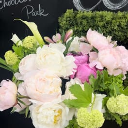Pink and white peonies with calla lilies in a glass vase