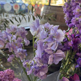 Sweet Peas - Flower Market