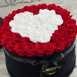 Red & White Heart Preserved Roses Luxury Velvet Box
