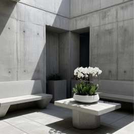 White orchids in a low white planter on a concrete table