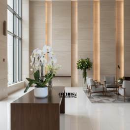 White orchids in a white pot on a wooden table in a lobby