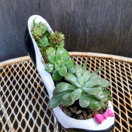 Succulent arrangement in a high-heeled shoe planter with a pink bow