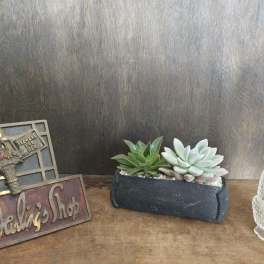 Two small succulents in a rectangular fabric planter beside a glass candle holder