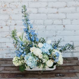 Blue and white floral arrangement in a low white container