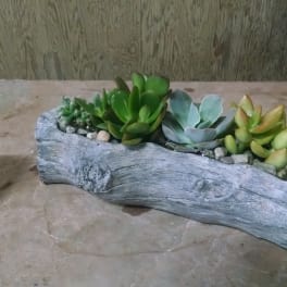 Succulent arrangement in a faux wood planter beside a clear glass votive holder