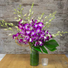Purple orchids arranged in a tall glass vase with broad green leaves.