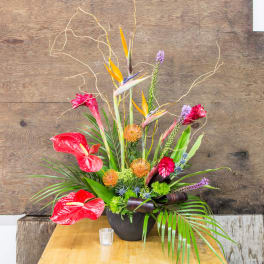 Tropical flower arrangement in a dark vase with red anthuriums and bird of paradise
