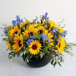 Yellow sunflowers and blue flowers in a black bowl vase