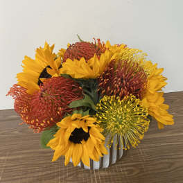 Bouquet of sunflowers and red pincushion protea in a white container