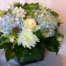 Blue hydrangeas and white flowers in a square vase