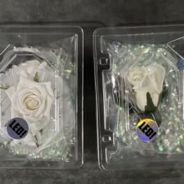 Two white rose boutonnieres in clear plastic cases