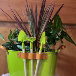 Green potted plant arrangement with purple spiky leaves and garden tools
